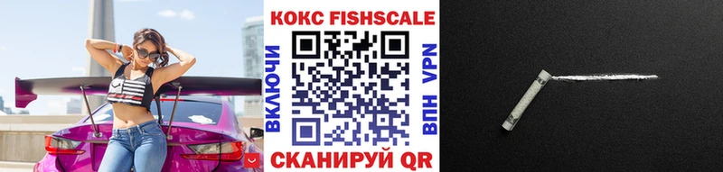 COCAIN Fish Scale  Купить  Николаевск-на-Амуре 